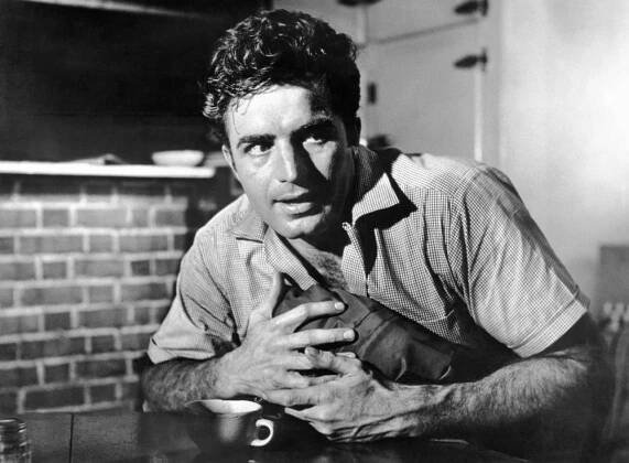 Vince Edwards - Actor, Director, Singer