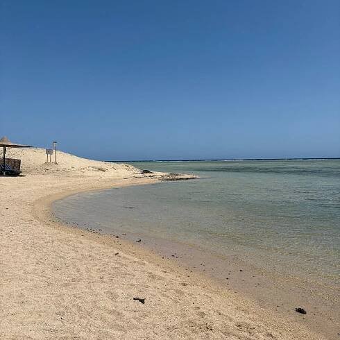 ELPHISTONE RESORT - Updated 2025 Prices & Reviews (Marsa Alam, Egypt)