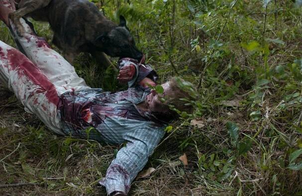Horor Krutá rasa/The Breed (2006),info o filmu,recenze,videa,obrázky,trailery