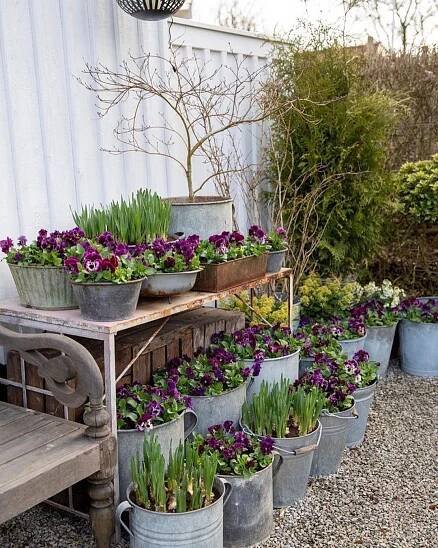 many potted plants are sitting on a table