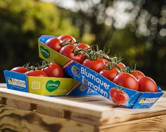 Unsere Blumauer Tomaten: Ganzjährig. Regional. Nachhaltig.