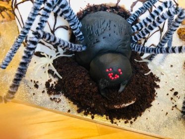 Pavoučí oslava a dort