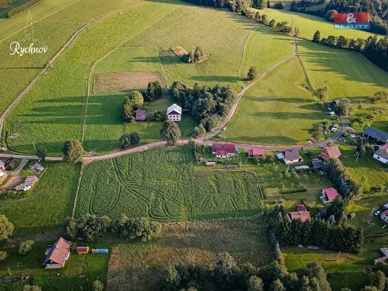 Prodej Pozemek, České Petrovice, okres Ústí nad Orlicí