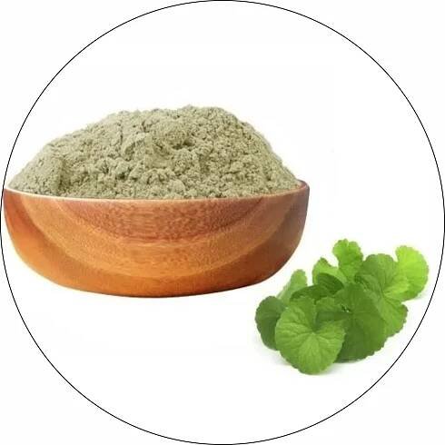 Brahmi Powder - www.dkihenna.com