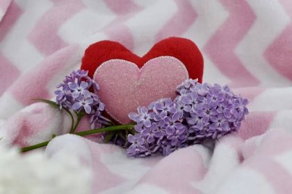 Bezplatný obrázek: květ, lila, okvětní lístek, láska, romantika, příroda, aromaterapii, koupel, léčba, svatba