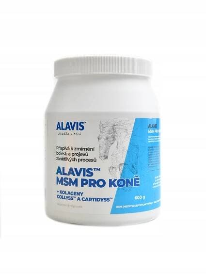 Alavis Msm - Nízká cena na Allegro