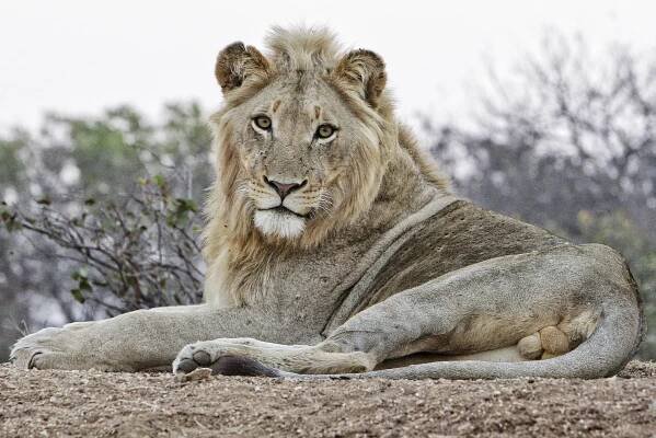 Kruger National Park, South Africa, Kruger Park