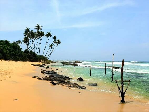 Srí Lanka s dětmi | Tagua Tours