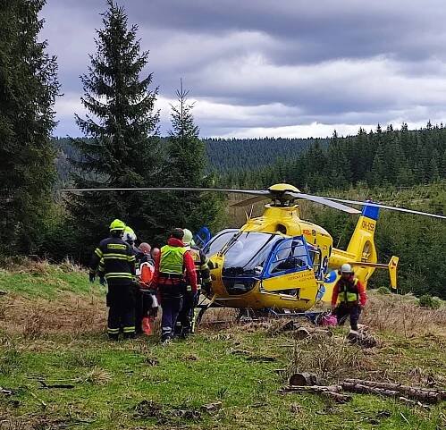 Dělníka v lese zavalila padající kláda, muž utrpěl těžká zranění