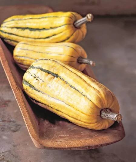 How to Cook Delicata Squash Using Our Test Kitchen's Best Methods