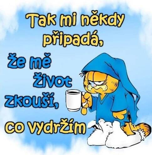 Pin di Vera Slajerova su CITÁTY