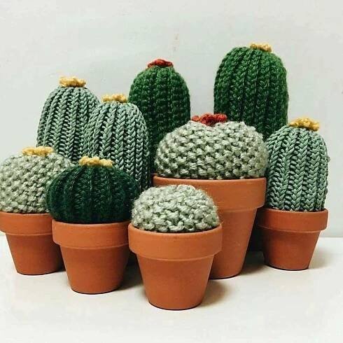 Pin de Carmen en Manualidades / Ideas | Cactus de ganchillo, Cactus a crochet, Ganchillo