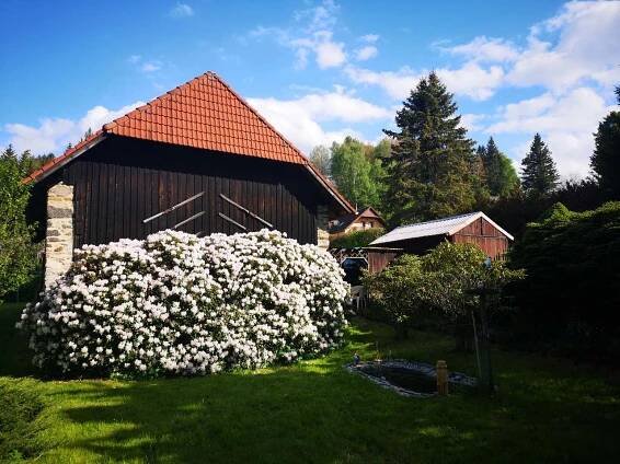 Chalupa pod Libínem, pronájem chalupy Rohanov - ubytování Šumava, 11530