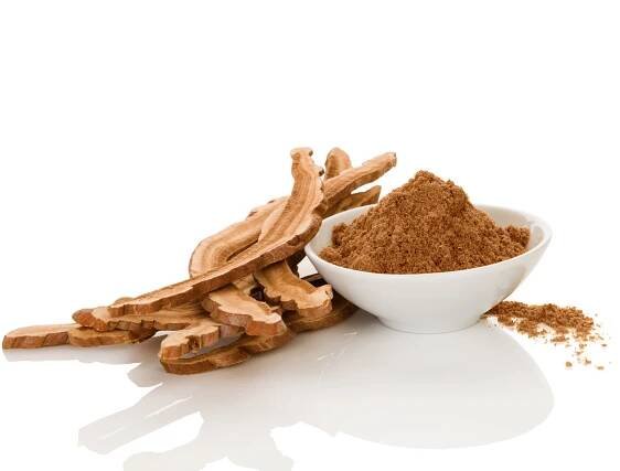 Jak může Reishi pomoci onkologickým pacientům - Reishi, Ganoderma, Lingzhi, Lesklokorka lesklá