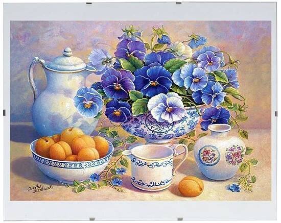 BFHM Euroclip 50 x 40 cm