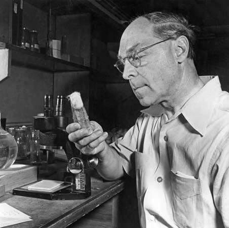 Hermann Joseph Muller Facts