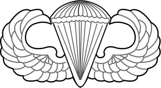Soubor:United States Air Force Parachutist Badge.svg – Wikipedie