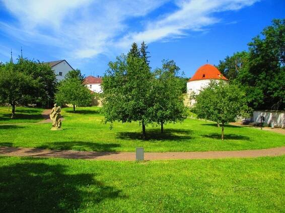 Klášterní zahrady v Chrudimi - Park