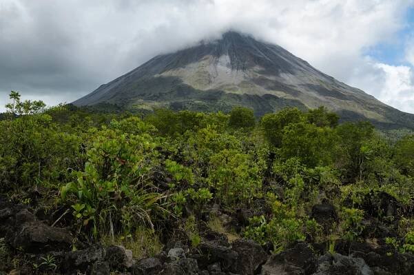Alajuela (provincie)