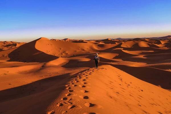 sunset in the Sahara desert