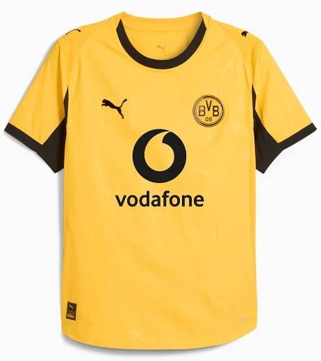 Borussia Dortmund 25/26 Authentic Cup Jersey Men