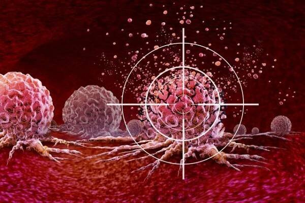 Lymfomy. Novinková léčba nádorů cílenou imunologickou terapií | foto: Shutterstock