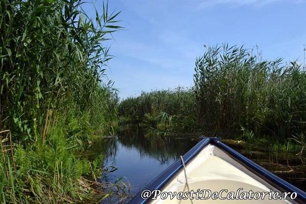 Descoperă Delta Dunării, paradisul de lângă noi! 