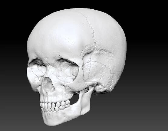 Art of Joseph Alexander Wraith - Child Skull