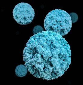 Norovirus Infection: 5 Symptoms, Causes And Treatment