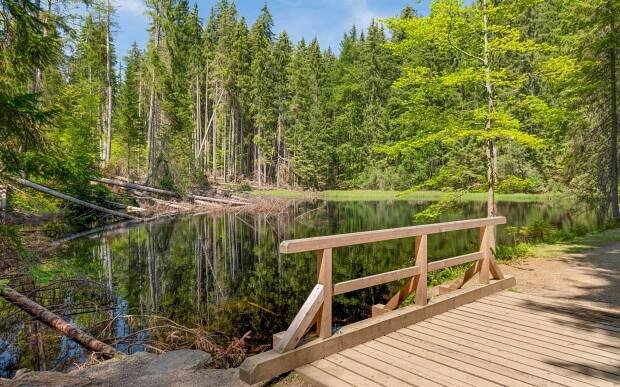 Šumava: Dovolená přímo u Boubínského pralesa v Penzionu Pod pralesem s polopenzí - 24travel.cz