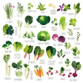 Nálepka Velká klipartová sbírka s různými druhy zeleniny a společných kulinářských bylin