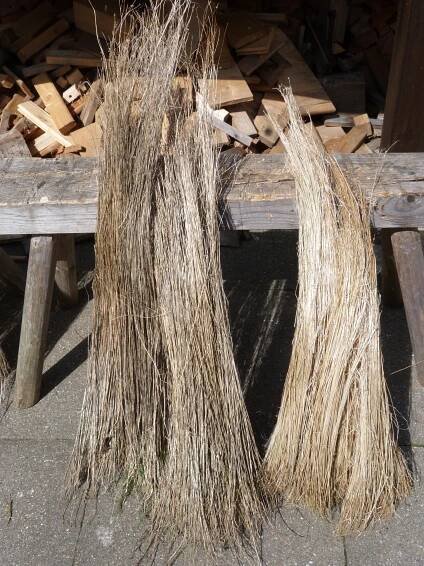 Fig 9. Flax that was retted on ground and in water. Photo by Martina König.