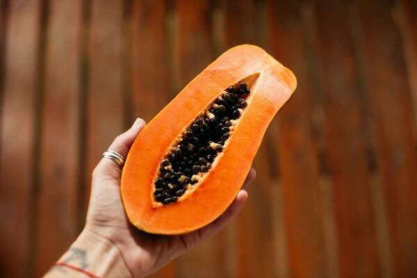 bezplatná Základová fotografie zdarma na téma antioxidanty, bezlepkový, carica papaya Základová fotografie