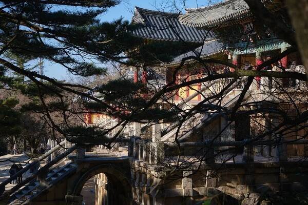 Gyeongju: The Timeless Heart of Korea