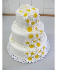 Svatební dort sedmikrásky 146