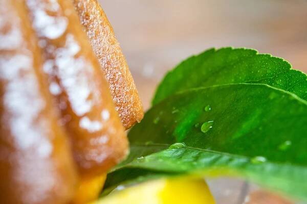 lemon-tour-piatti022 – Amalfi Lemon Experience