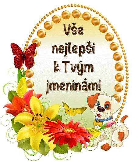 prani_k_svatku_jmeninam_3