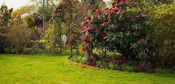 Anglická zahrada sází na jednoduchost a barevnost