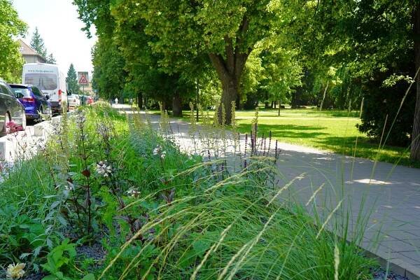 Jiráskovy sady soutěží o titul Park čtvrtstoletí - www.litomerice.cz