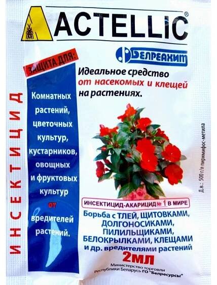 Actellic - návod k použití insekticidu a tajemství jeho použití