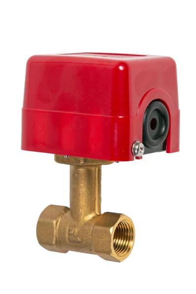 Banico Controls - Flow Switches > Flow Switches