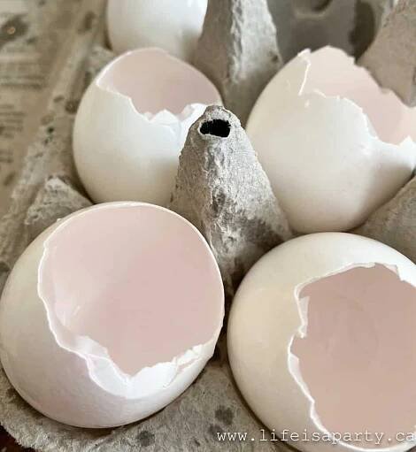 Eggshells that are washed in an egg container to be used as eggshell planters.