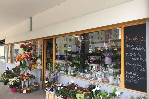 KVĚTINY ALBRECHTOVÁ foto 2