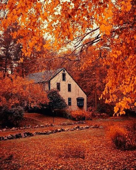 fall colours on Tumblr