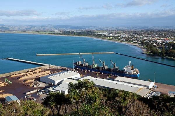 gisborne city nový zéland – kaiti hill, rezervace titirangi - gisborne - stock snímky, obrázky a fotky