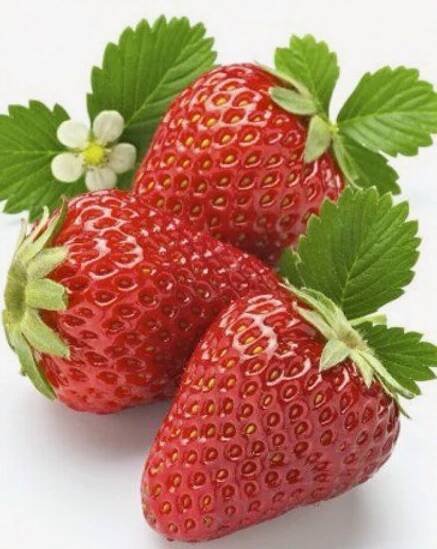 three strawberries with green leaves on white background