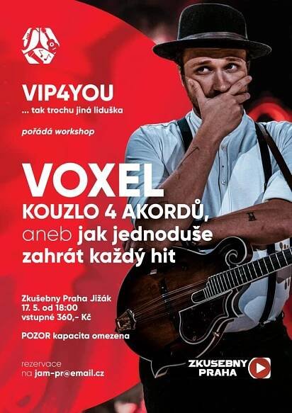 Workshop - LIVE s Voxelem