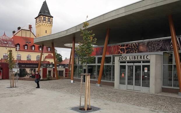 I lama alpaka je z toho v lehkém šoku. Nejstarší Zoo u nás slaví ne 100, ale rovnou 115. Jak se s trapasem vyrovnali?