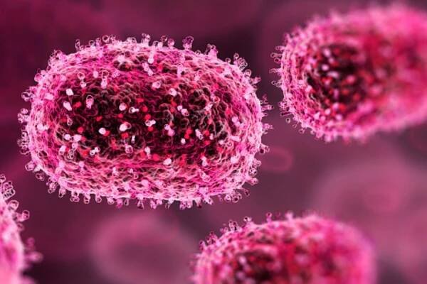 An illustration of mpox virus particles.