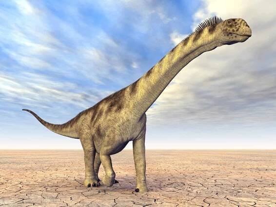 Dinosaur Camarasaurus